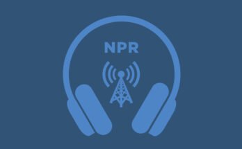 Cómo China ha creado un tractor en la industria de las tierras raras: NPR